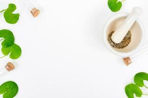 top visie Aan tafel centella asiatica bladeren met geïsoleerd Aan wit achtergrond foto