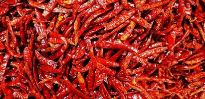 groep van droog rood heet Chili peper voor achtergrond. patroon van oogst landbouw en pittig ingrediënt voor Koken voedsel. foto