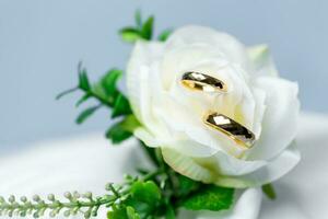 gouden bruiloft ringen voor verloving. huwelijk gouden ringen met wit, roze linten achtergrond. ringen Aan de wit en rood roos. de huwelijk ringen is de symbool van traditioneel bruiloft van paar- liefhebbers. foto