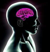 ai genereren foto 3d geven van een medisch beeld van een mannetje figuur met hersenen gemarkeerd