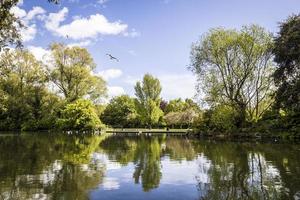 zwanenmeer, dublin, ierland foto