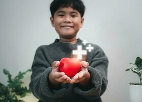 mooi zo Gezondheid en verzekering concept, Gezondheid verzekering concept. jongen hand- Holding plus teken en rood hart, positief volume. foto