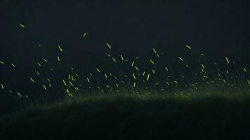 vuurvliegjes en gras Bij nacht ai gegenereerd foto