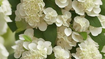 wit hortensia bloem bloesem tegel naadloos herhalen patroon ai gegenereerd foto