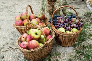 manden met appels, peren en druiven. manden met fruit foto