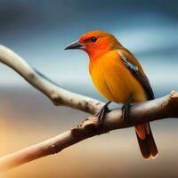 schattig gekleurde vogel neergestreken Aan een boom Afdeling met een wazig achtergrond foto