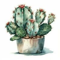 waterverf illustratie van een cactus. kamerplant, woestijn, sappig. voor creëren affiches, stickers, ansichtkaarten, afdrukken, sublimaties. ai gegenereerd foto