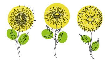 bloemen vector reeks illustratie in gemakkelijk minimaal doorlopend schets lijn stijl. natuur bloesem kunst voor bloemen botanisch logo ontwerp. geïsoleerd Aan wit achtergrond. foto