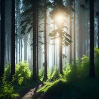 bomen in Woud ai gegenereerd, een zomer ochtend- met zon foto