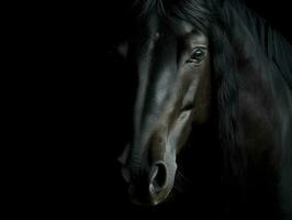 dramatisch achtergrond van een zwart hengst paard foto