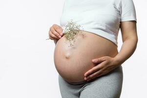 detailopname van zwanger buik van gravid vrouw Holding gypsophila bundel en omarmen haar groot buik in laat zwangerschap tijd foto