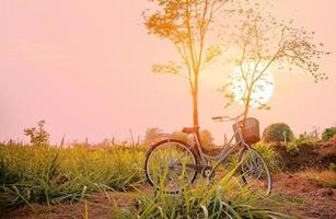 mooie vintage fiets in het veld foto