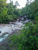 babinda keien, koninginneland, Australië foto