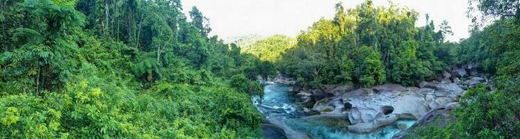 babinda keien, koninginneland, Australië foto