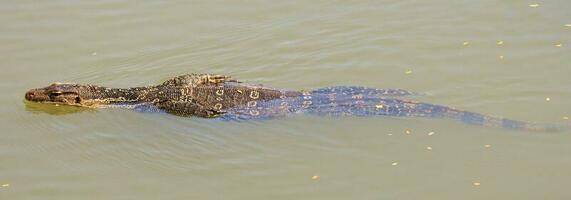 water toezicht houden op in Thailand foto