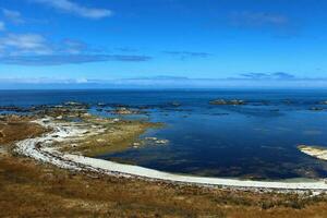 Kaikoura landschappen, nieuw Zeeland foto