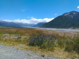 hawdon vallei in nieuw Zeeland foto