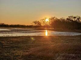 leichhardt lagune, Queensland Australië foto