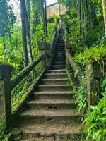 paronella park, Queensland Australië foto