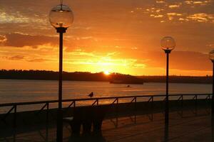 Sydney zonsopkomst Bij opera huis foto