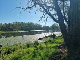 tahbilk wijnmakerij wetlands in Australië foto