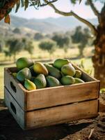 biologisch avocado in een houten doos Aan de veld. ruimte voor tekst, model, verticaal, generatief ai foto