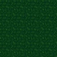 naadloos patroon met 13 verschillend palm bladeren Aan donker groen achtergrond. tekening kleur vector illustratie. foto