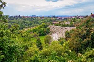 Monferrato heuvels panorama, bedekt met wijngaarden en hazelnootbomen