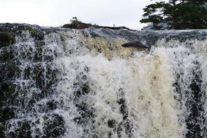 zalm springen bij aasleagh watervallen mayo ierland foto