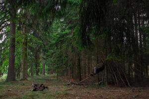 schuilplaats in het bos foto