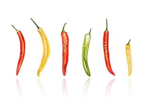 de helft van chili pepers, pepers, segment, geïsoleerd op een witte achtergrond met slagschaduw. foto