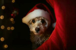 ai gegenereerd schattig hond in een de kerstman kostuum komt tevoorschijn van een portaal, klaar naar verspreiding Kerstmis juichen. foto