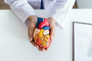 dokter met anatomisch model- van menselijk hart cardioloog ondersteunt de hart. hart diagnostiseren medisch controle cardioloog in examen kamer foto