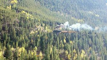 een stoom- locomotief op reis door de bossen. foto