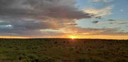 kleurrijk zonsondergang over- een weide foto