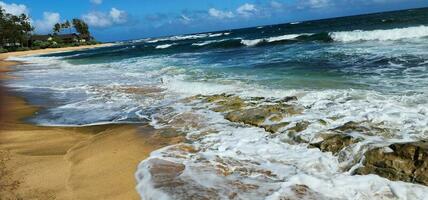 zonnig dag Aan de strand in Hawaii foto