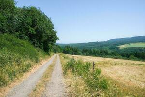 weg in de zonnig platteland foto