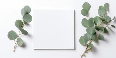 minimalistische groet kaart mockup met delicaat droog eucalyptus bladeren - top visie Aan een schoon wit achtergrond, ai gegenereerd foto