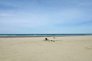 de lang zanderig strand Bij canon strand Oregon foto