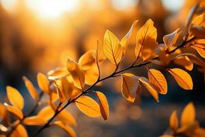 helder zonlicht gieten een warm gloed Aan herfst geel gebladerte ai gegenereerd foto