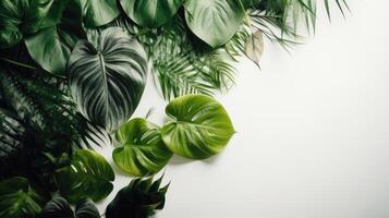 tropisch bladeren monstera en palm Aan wit achtergrond gegenereerd ai foto