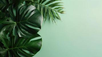 tropisch bladeren monstera en palm Aan groen achtergrond gegenereerd ai foto