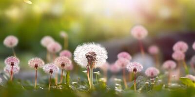 paardebloem bloem, kopiëren ruimte wazig achtergrond, ai gegenereerd foto