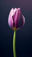 Purper tulp tulipa bloem behang achtergrond. ai gegenereerd foto