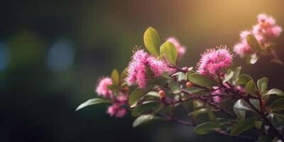 mirte roze bloem, kopiëren ruimte wazig achtergrond, ai gegenereerd foto