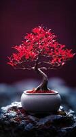 bonsai rood boom behang achtergrond. ai gegenereerd foto