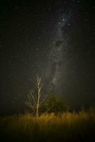 pampa landschap gefotografeerd Bij nacht met een sterrenhemel lucht, la pampa provincie, Patagonië , Argentinië. foto