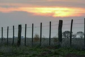 draad hek Bij zonsondergang in de Argentijns platteland. foto