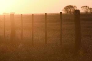 draad hek Bij zonsondergang in de Argentijns platteland. foto