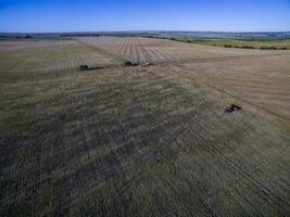 trekker y maquinaria agricola , sembrando, la pampa, Argentinië foto